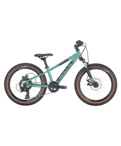 Bicicleta Copii Bulls Tokee 20 Disc  - 20 Inch, Turcoaz, Culoare produs: Turcoaz