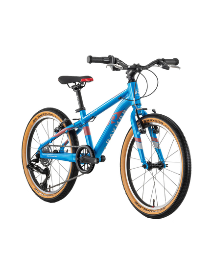 Bicicleta Copii Raymon TwoRay 3.0 - 20 Inch, 270 mm, Albastru