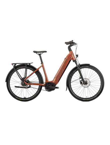 Bicicleta Electrica Raymon Oras Metmo CB 2025 - 27.5 Inch, M, Maro - Nexus, Culoare produs: Maro, Marime produs: M