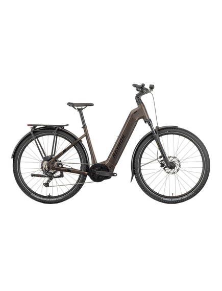 Bicicleta Electrica Raymon Oras Tahona Wave 2025 - 29 Inch, S, Maro - Essa, Marime produs: S